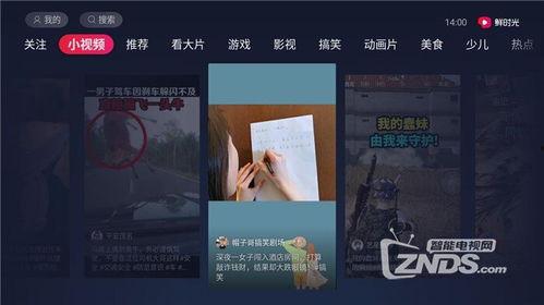 国产精品amu视频观看