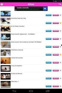 国产猫搞笑视频下载软件,笑翻猫界！国产搞笑猫视频下载神器大揭秘