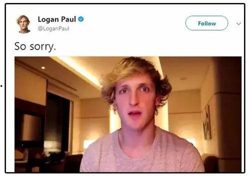 国产网红日本视频,中日文化交流新篇章