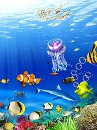 国产鳕鱼捕捞视频播放,海洋捕捞的辛勤与收获