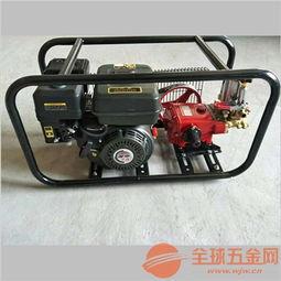 国产165汽油机视频,高效动力，引领绿色出行新时代