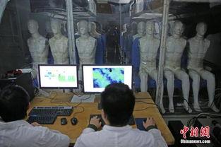 国产性视频播放免费视频,免费畅享本土视听魅力