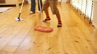 国产地板清洁视频下载,高效清洁技巧大揭秘