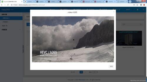 国产h视频品尚网,国产H视频领域的璀璨明珠