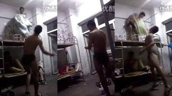 国产调教视频sm视频,探索SM文化的魅力与边界