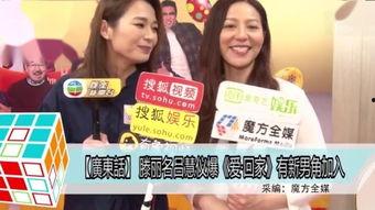 国产粤语倣爱视频,浪漫旋律中的情感共鸣