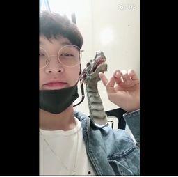 国产白拍免费福利视频,揭秘国内影视行业新趋势